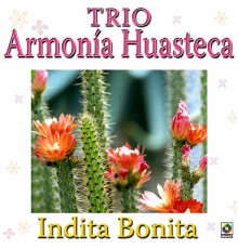 Trio Armonia Huasteca - Indita Bonita