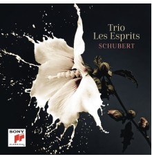 Trio Les Esprits - Schubert