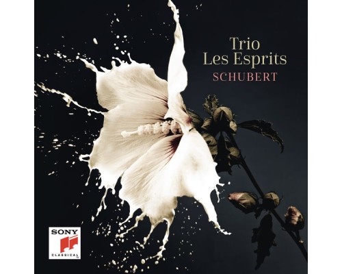 Trio Les Esprits - Schubert