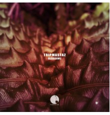 Tripmastaz - Blossomz