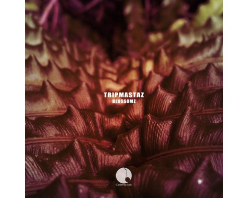 Tripmastaz - Blossomz