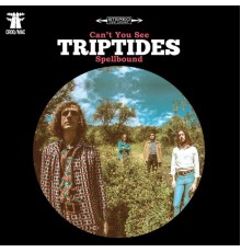 Triptides - Can't You See