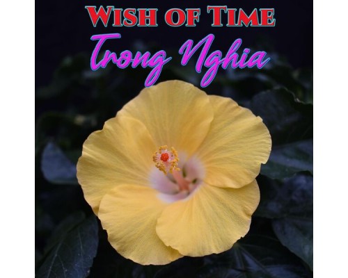 Trọng Nghĩa - Wish of Time