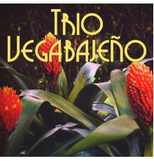 Trío Vegabajeño - Trio Vegabajeño