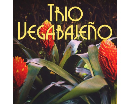 Trío Vegabajeño - Trio Vegabajeño