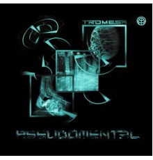 Tromesa - Pseudomental (Original Mix)