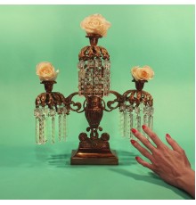 Tropic of Cancer - Restless Idylls