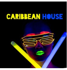 Tropical Chill Zone, Deep House Lounge, Drink Mixes Center - Caribbean House: Best Exotic Beats for Summer Holidays 2020