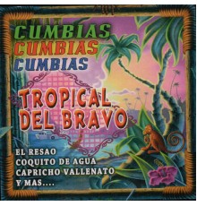 Tropical del Bravo - Cumbias