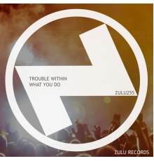 Trouble Within - What You Do