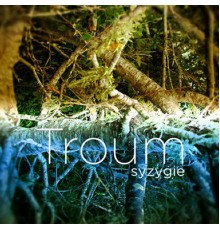 Troum - Syzygie