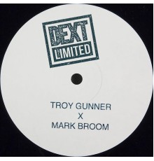 Troy Gunner - Get Loud