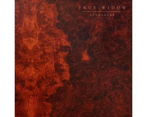 True Widow - AVVOLGERE