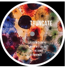 Truncate - DTW 2 LAX