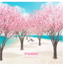 Tube - Imasara Surf Side