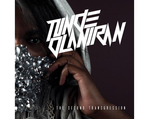 Tunde Olaniran - The Second Transgression