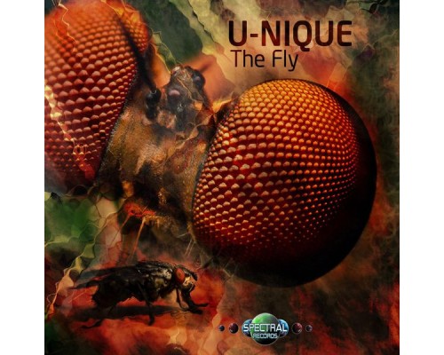 U-Nique - The Fly (U-Nique)