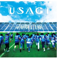 USAGI - Aisanka (Jubilo Edition)