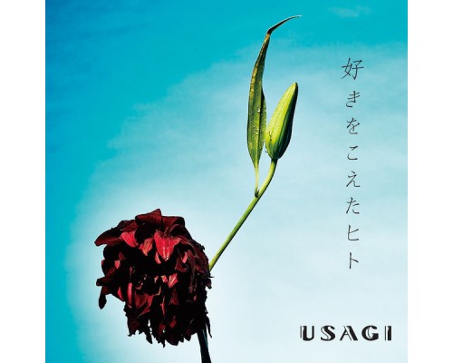 USAGI - Sukiwokoetahito