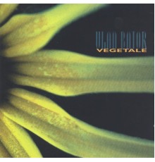 Ulan Bator - Végétale