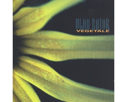 Ulan Bator - Végétale