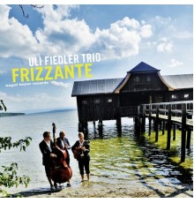 Uli Fiedler Trio - Frizzante