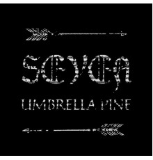 Umbrella Pine - Seven