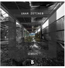 Unam Zetineb - Senses (Original Mix)