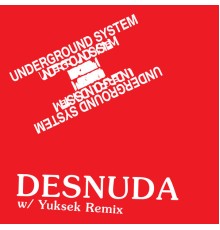 Underground System - Desnuda