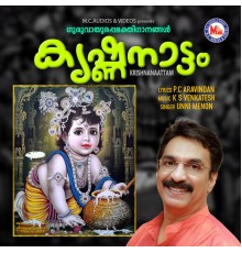 Unni Menon - Krishnanaattam