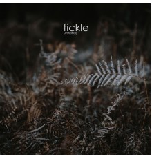 Unworldly - Fickle