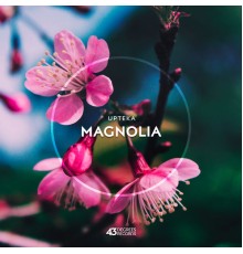 Upteka - Magnolia (Original Mix)