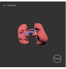 V.A. - The B Sides