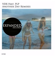 VDX, PLP - Another Day Remixes