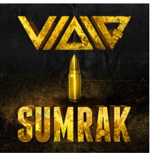 VIDIQ - Sumrak