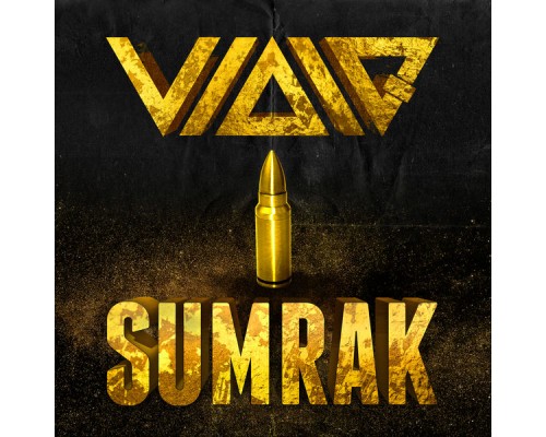 VIDIQ - Sumrak