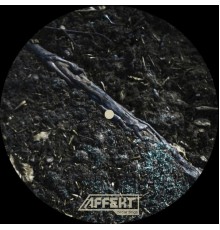 VIL, Temudo - Loss of Sense ep