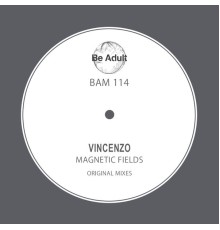 VINCENZO - Magnetic Fields