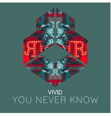 VIVID - You Never Know