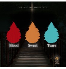 VSR - Blood, Sweat and Tears