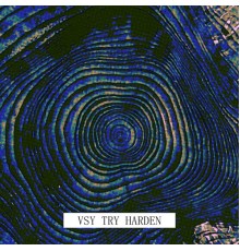 VSY - Try Harden