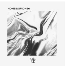 Vaarwell - Homebound 456