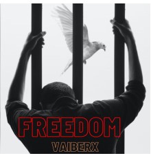 Vaiberx - Freedom