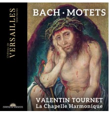 Valentin Tournet - Bach Motets