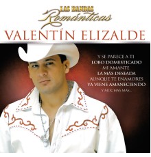 Valentín Elizalde - Las Bandas Románticas