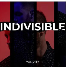 Validity - Indivisible