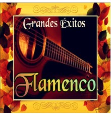 Varios Artistas - Grandes Éxitos Flamenco
