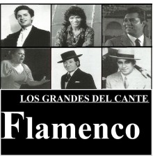 Varios Artistas - Los Grandes del Cante Flamenco