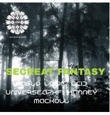 Varios Artistas - Secreat Fantasy