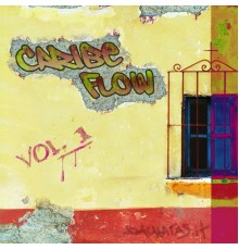 Various - Caribe flow vol. 1